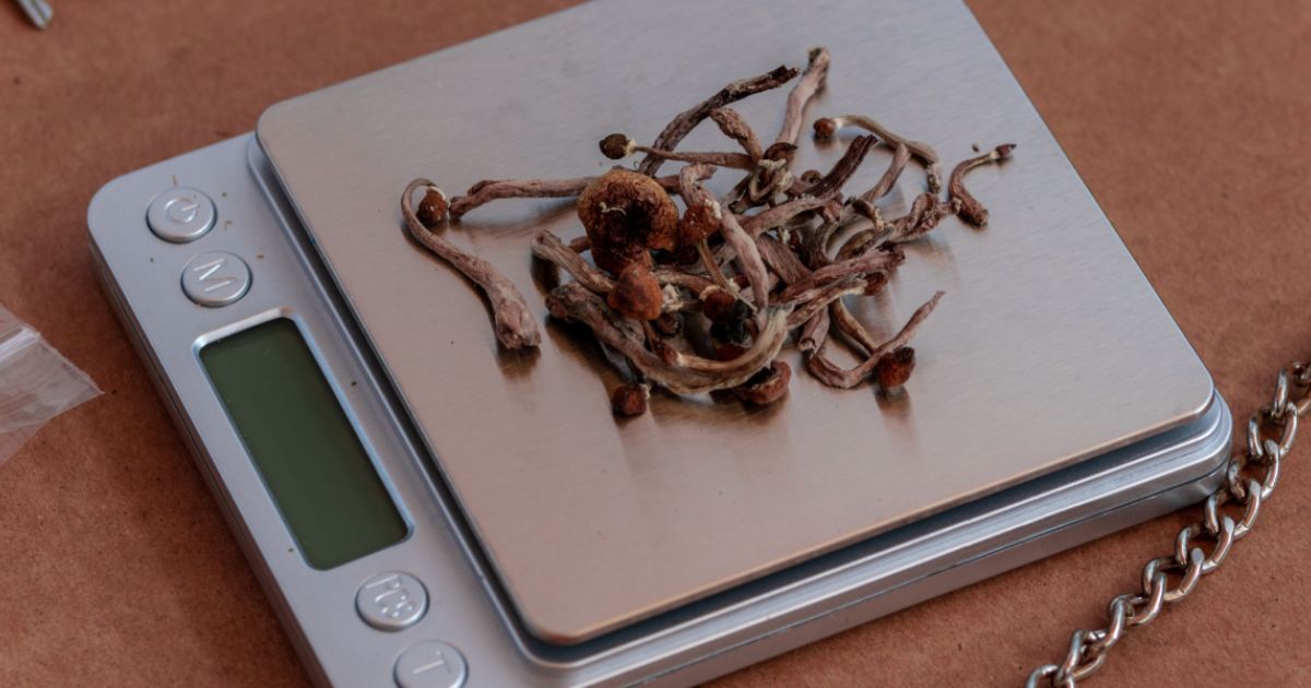 The Street Price of Psilocybin Mushrooms by Weight