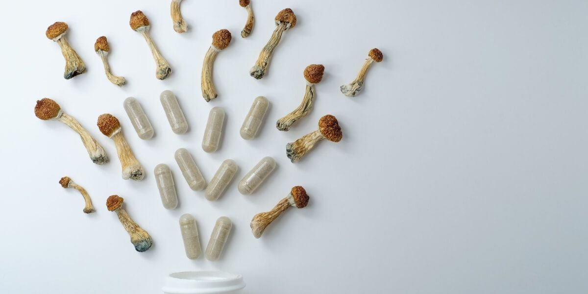 The Street Price of Psilocybin Mushrooms by Weight