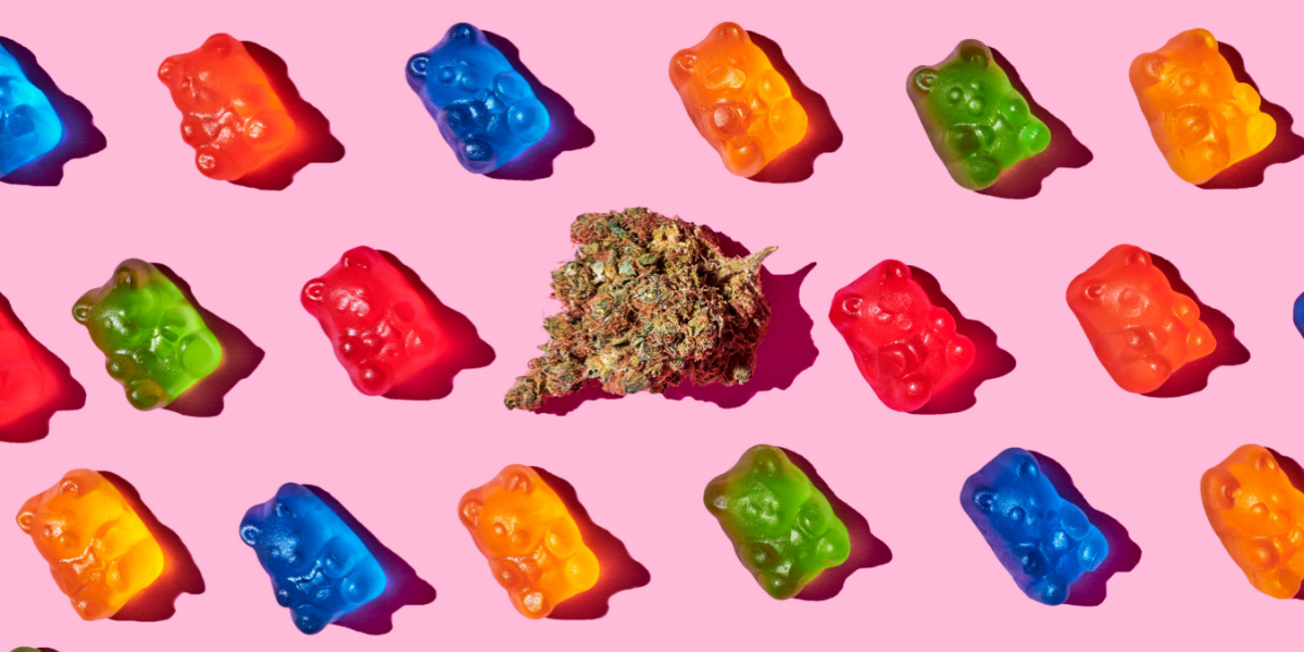 Colorful gummy bears and a cannabis bud on a pink background.
