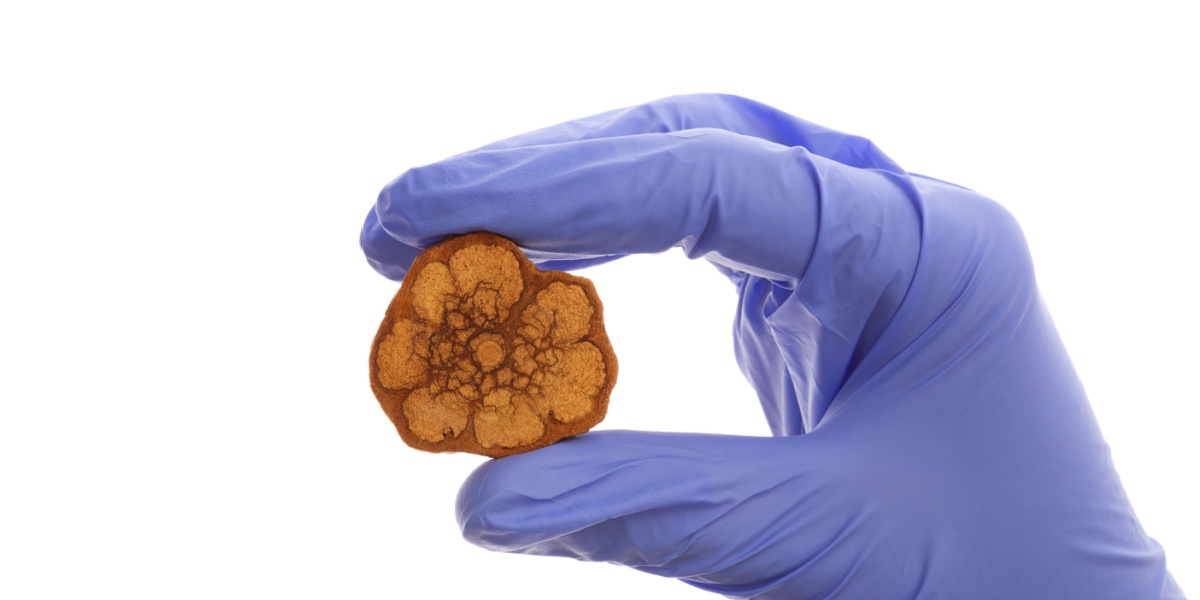 a close up photo of a hand in gloves to show DMT being processed in a lab