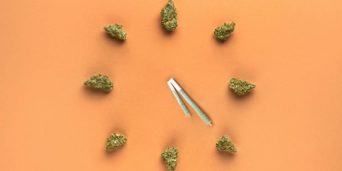 a photo of marijuana buds arranged like a clock, with marijuana sticks for the hour and minute hands