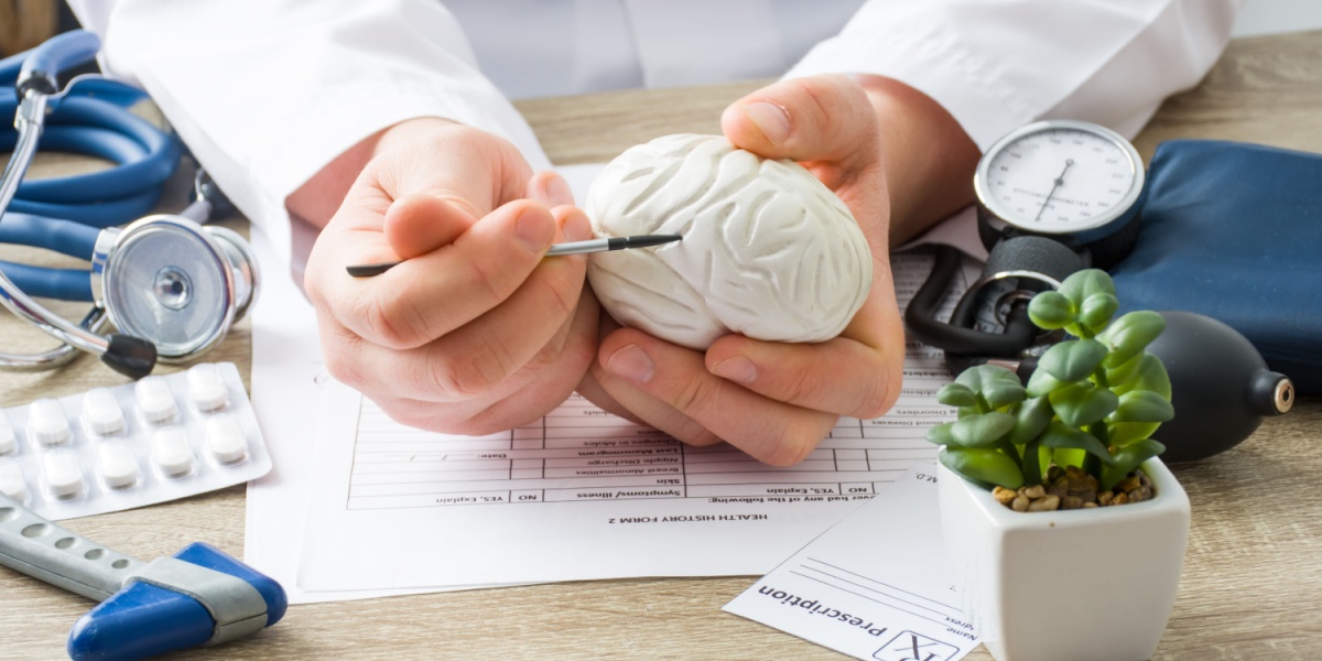 a close up of a doctor's desk, with a doctor in white coat holding a brain model in their hands to explain about psychosis and a pack of Adderall on the desk