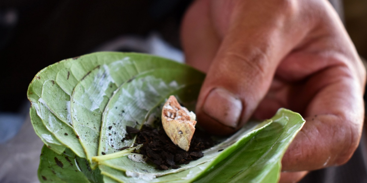 a close up photo of a hand holding ingredients for betel nut chewing