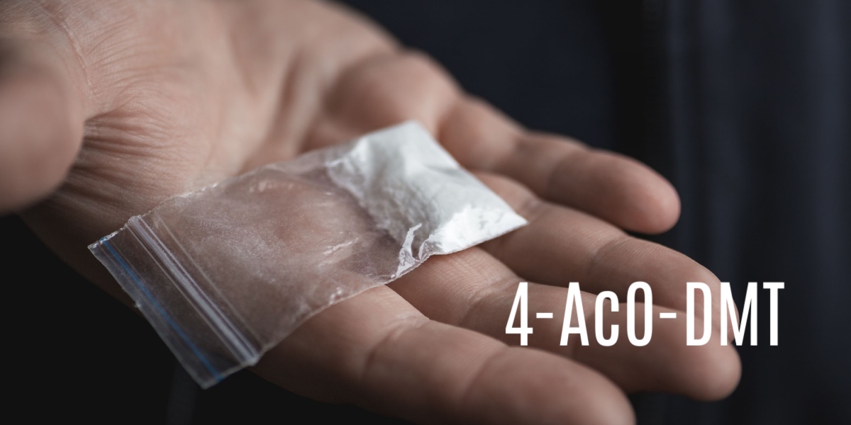 a close up photo of a hand holding out a transparent packet with 4-AcO-DMT powder over a black background