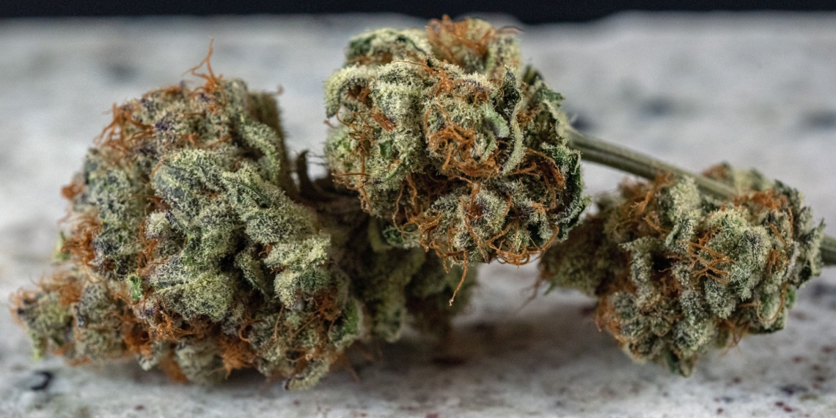 a close up photo of cannabis buds with Delta-10 THC