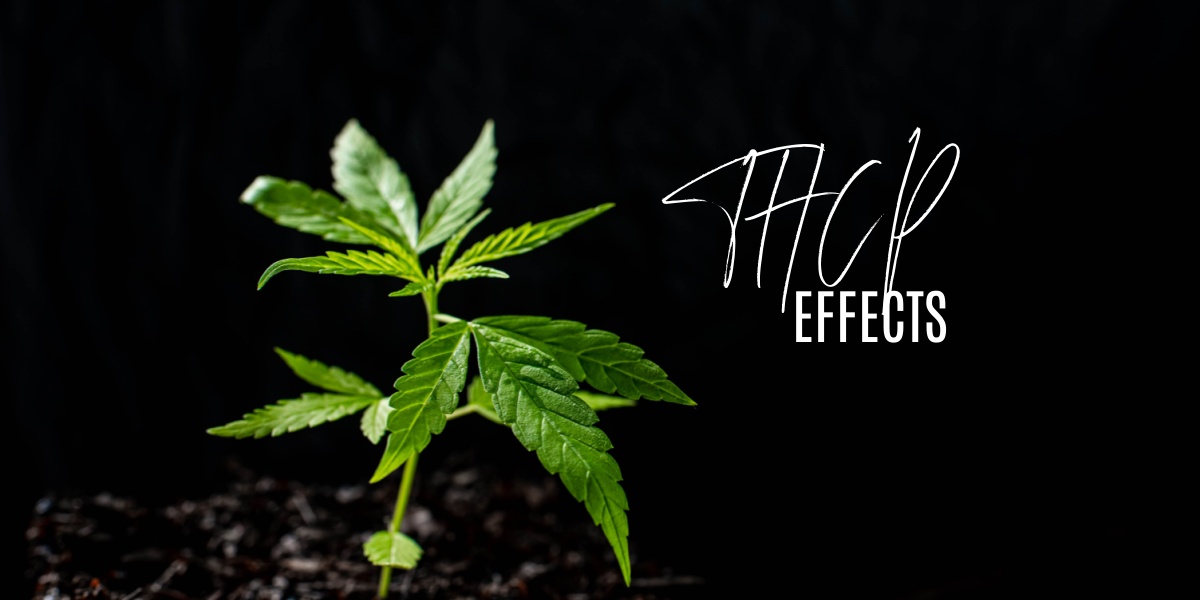 a photo of a THCP plant over a black background, the words