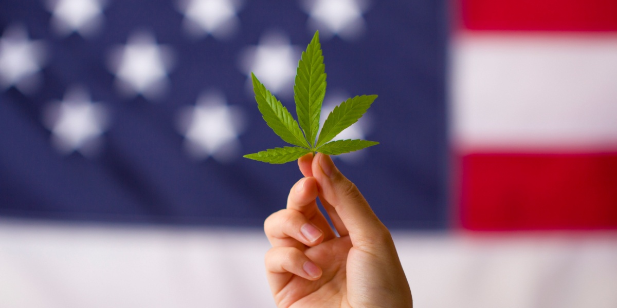 a close up photo of a hand holding a THCP leaf with the US flag on the background