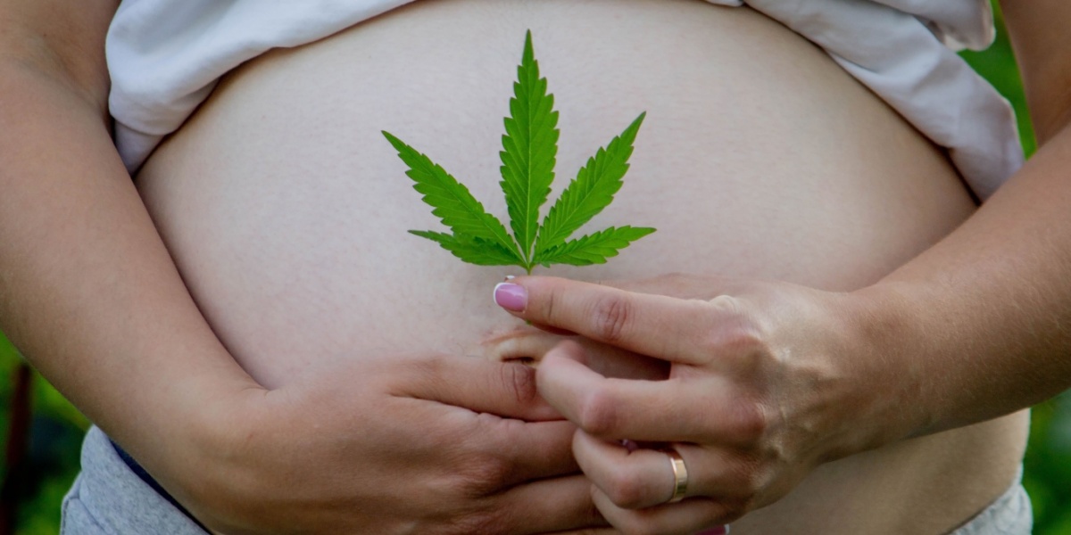a photo of a pregnant belly with the woman holding a marijuana leaf over her stomach