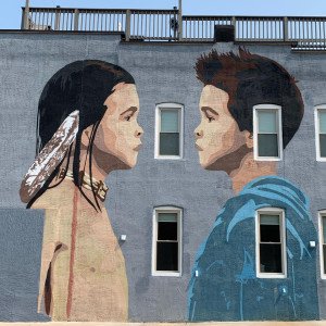 Native American Lifelines