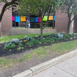 North Philadelphia Health Systems