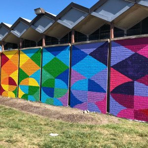 Detroit Recovery Project