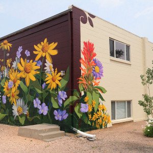 Clinic for Mental Health and
