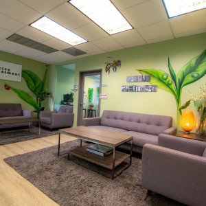 Thrive Treatment