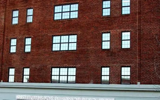 Institutes for Behavior Resources Inc REACH Health Services