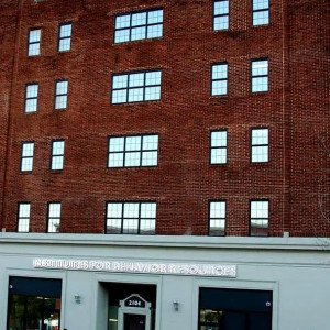 Institutes for Behavior Resources Inc