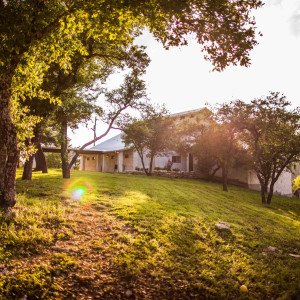 Positive Recovery  TX