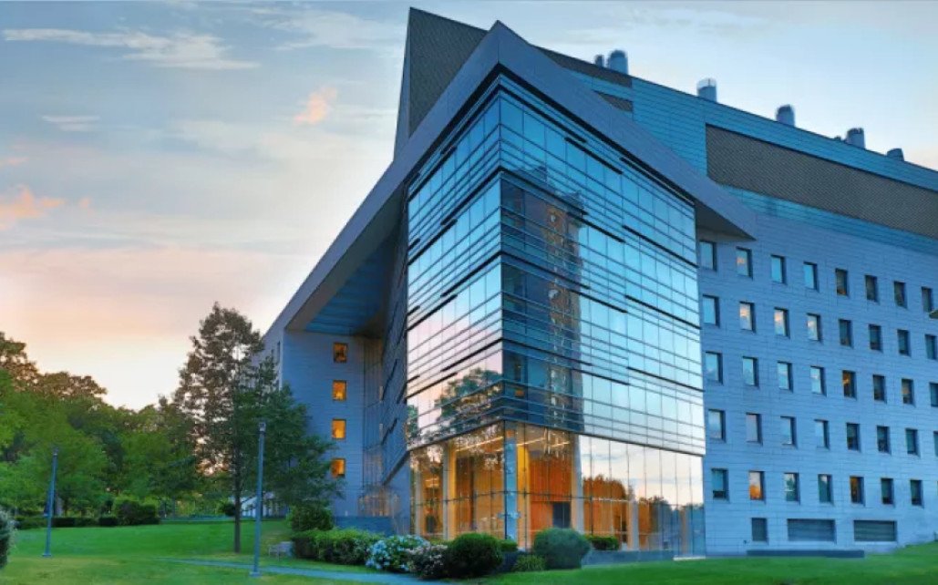 Wellness Center  NY