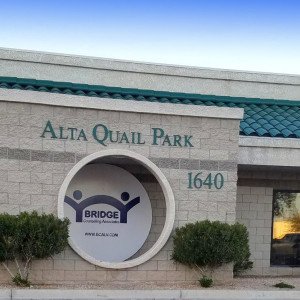 Bridge Counseling Associates  NV