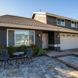 Michael S Levy DO DFASAM