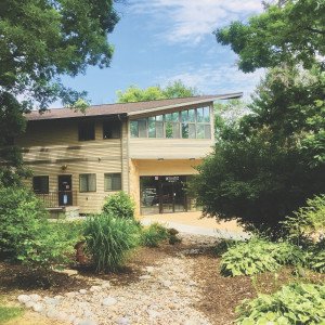 Tellurian Inc  WI