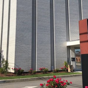 Circle Park Behavioral Health Services