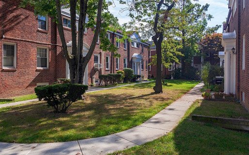 Amethyst an Alvis Recovery Program