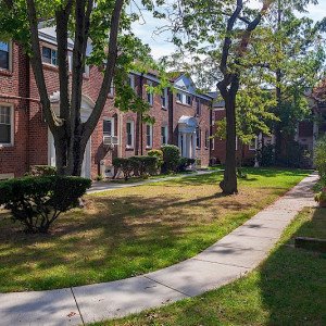 Amethyst an Alvis Recovery Program