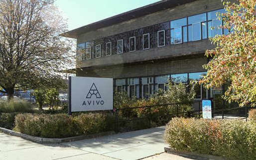Avivo