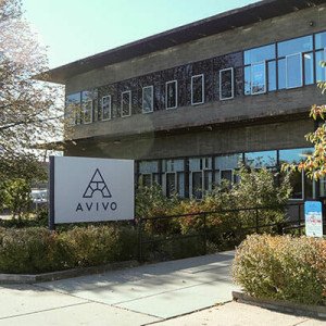 Avivo