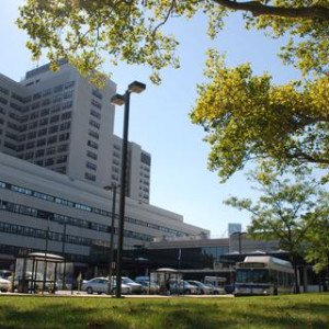 New York Harbor Healthcare System