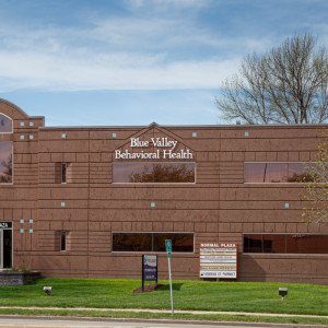 Blue Valley Behavioral Health