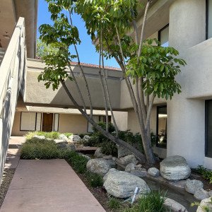 United American Indian Involvement