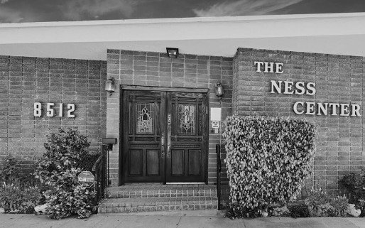 Ness Counseling Center Inc