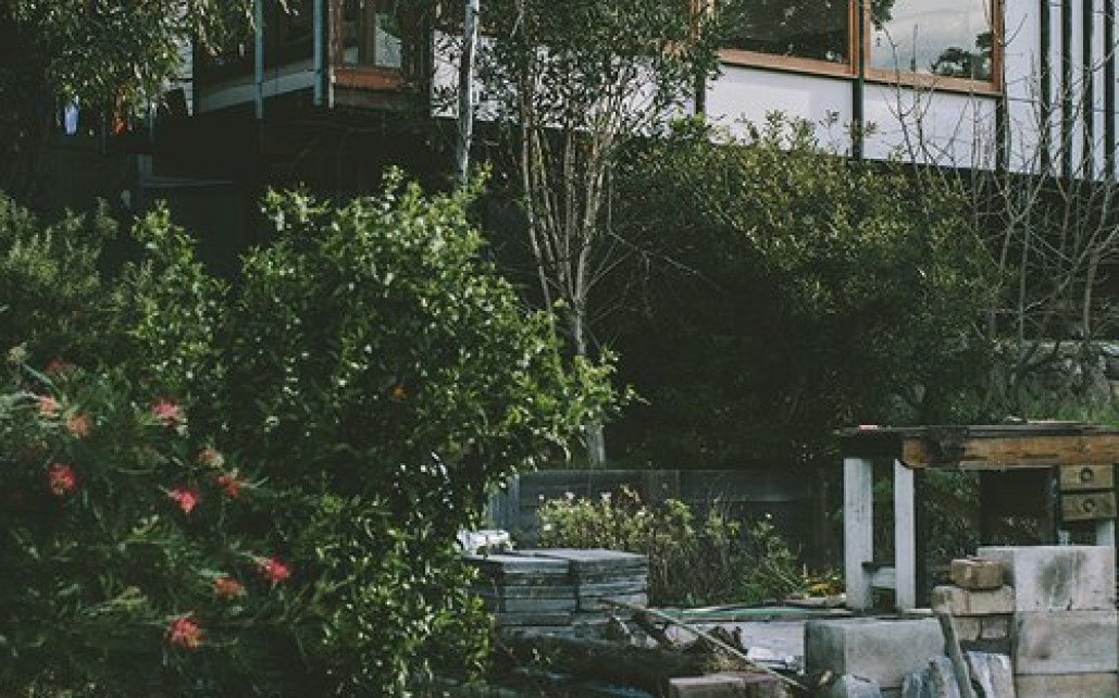 Thunderbird Treatment Center