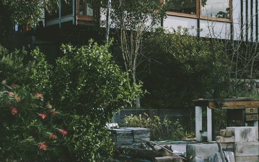 Thunderbird Treatment Center