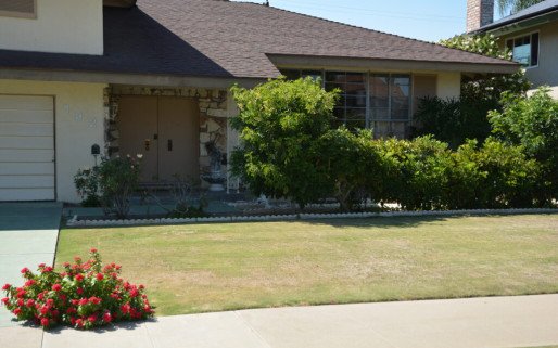 LEAD Recovery Center