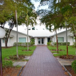 Drug Abuse Foundation of  FL