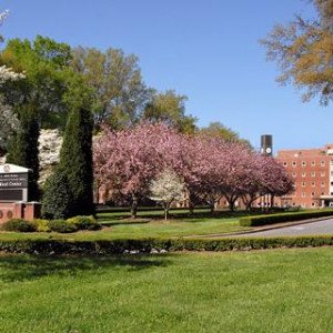 Salisbury VA Medical Center