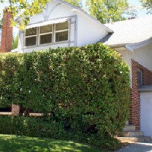 Sacramento Recovery Homes Inc  CA