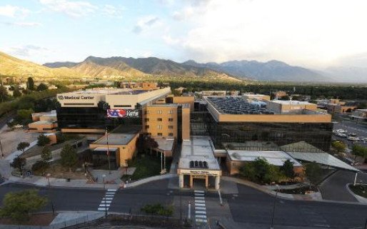 VA SLC Healthcare System Addiction Treatment Services (116NS)