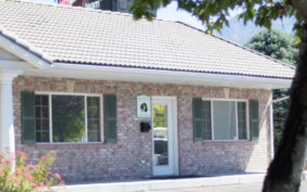 Connections Counseling Services
