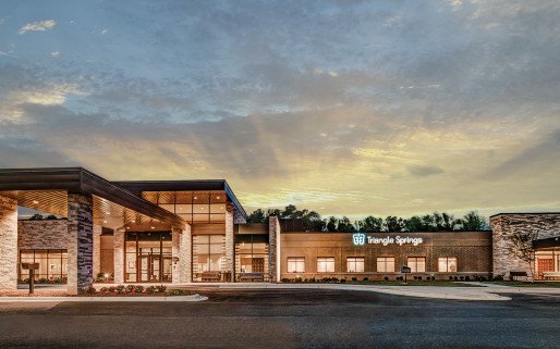 Triangle Springs Hospital