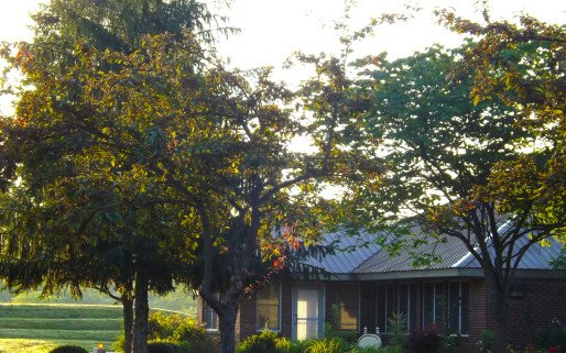 Mountain Comprehensive Care Cliffview Recovery Center