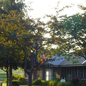 Mountain Comprehensive Care  KY