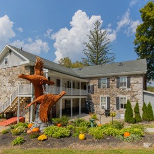 Cove Forge Behavioral Health System