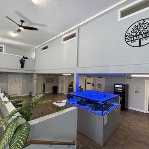 Stewards of Recovery  ID