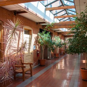 Bucks County Counseling