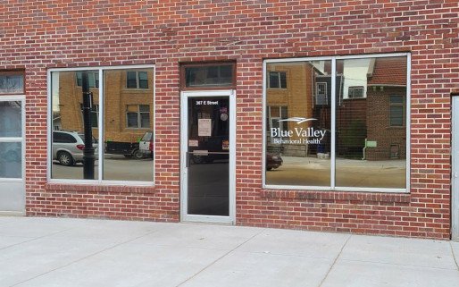 Blue Valley Behavioral Health David City Office