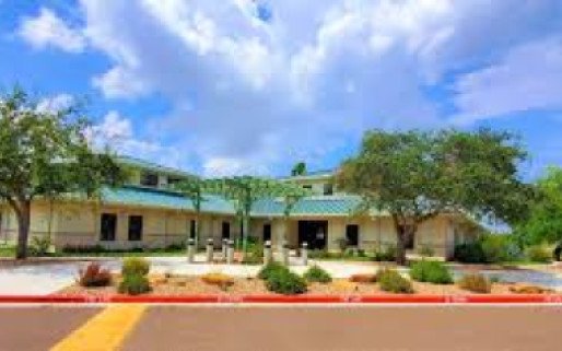 Tropical Texas Behavioral Health