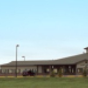 Youth Emergency Services Inc